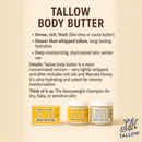 Unscented Tallow Skincare Collection | 4 - Piece Gift Set | Grass - Fed Tallow Lotion, Body Butter, Balm & Whipped Moisturizer - Natural Beginnings
