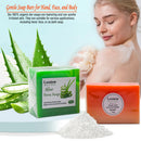 Organic Bath & Hand Soap (3 Set) - Natural Beginnings